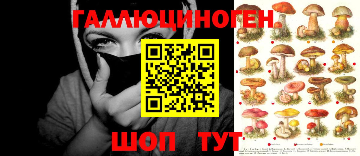 наркотики  Псилоцибиновые грибы мицелий  Донской  Галлюциногенные грибы ЛСД 