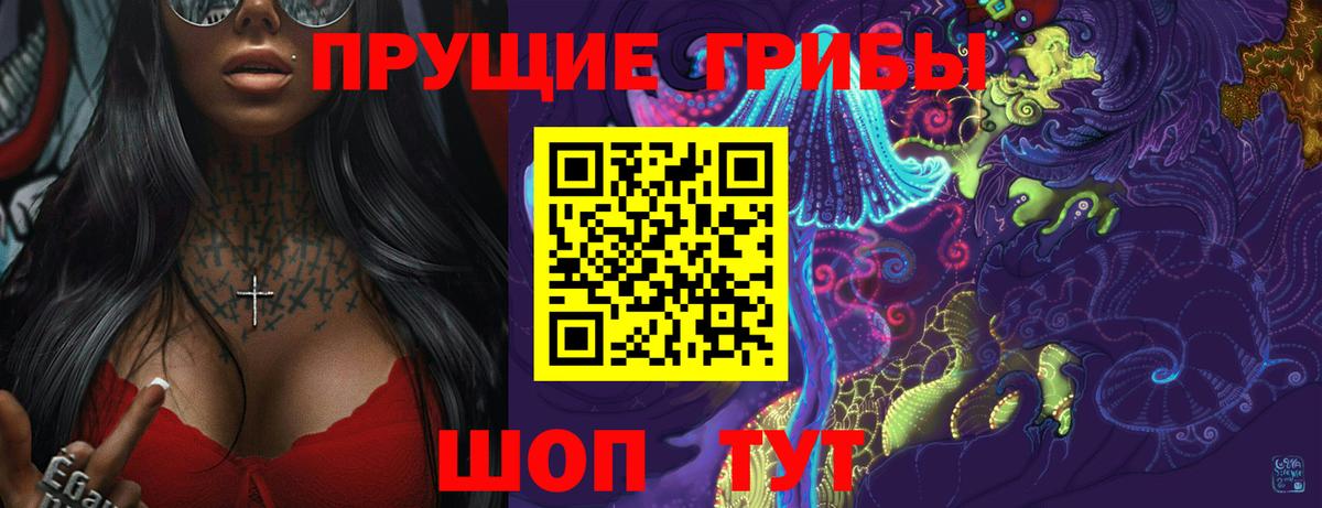 Донской  Псилоцибиновые грибы Cubensis  Псилоцибиновые грибы Psilocybine cubensis  Вход с VPN 
